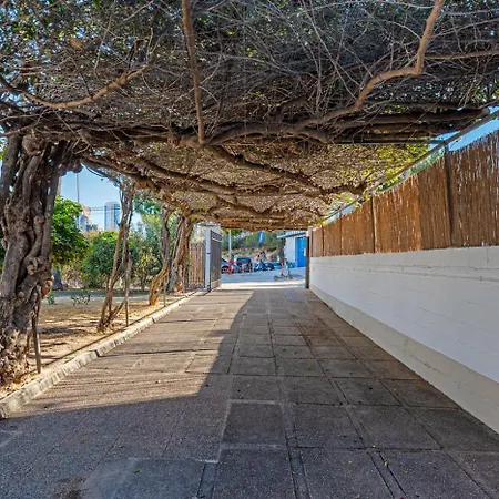 Villa Tropical - Plusholidays
